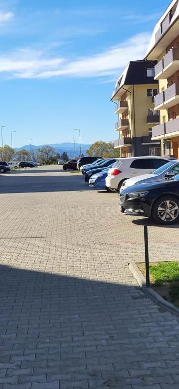Avdk Apartament Sînpetru エクステリア 写真