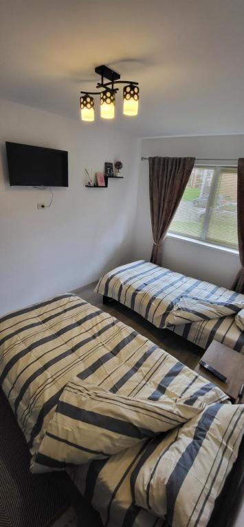 Avdk Apartament Sînpetru エクステリア 写真